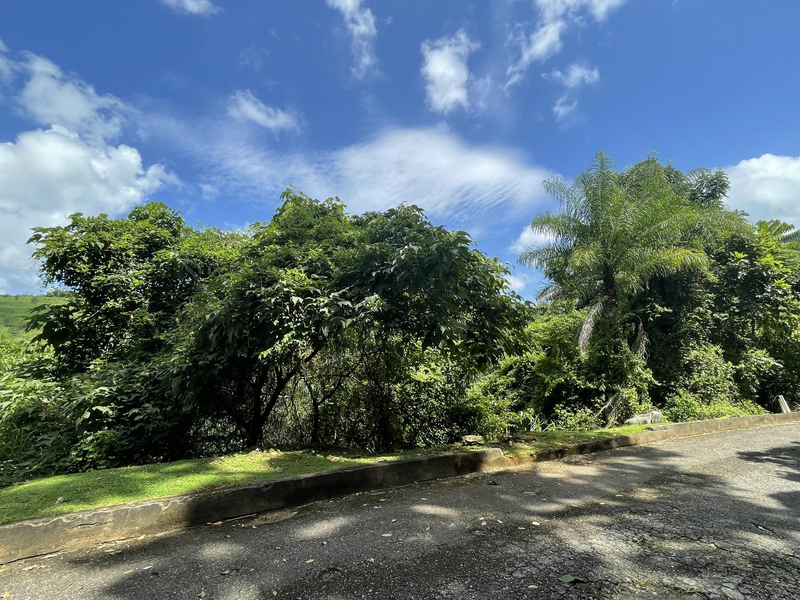 Lot 24 Wellsprings Cascade — photo 5