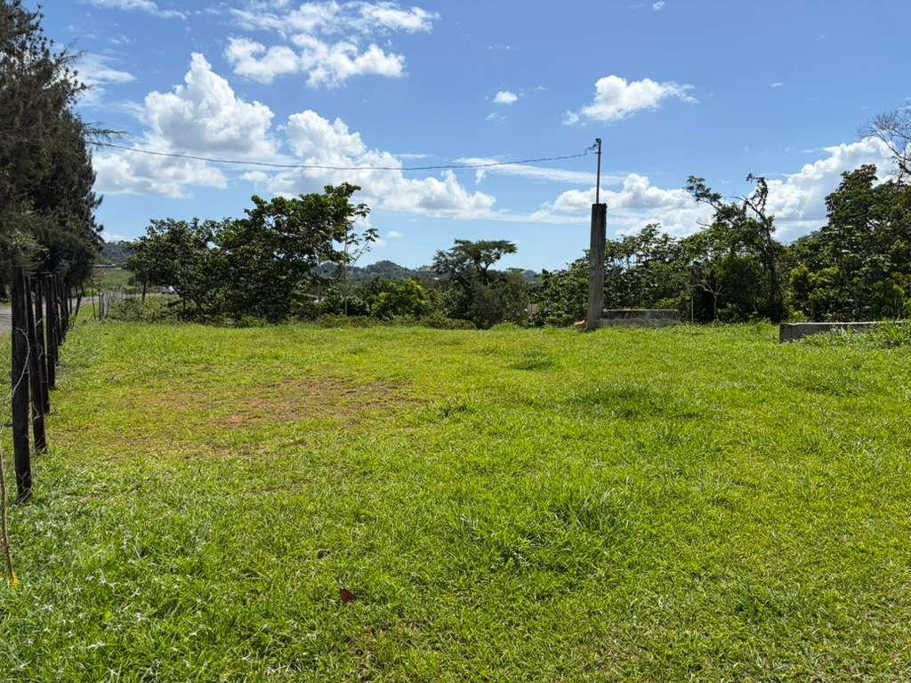 Lot in Bo. Calabaza, San Sebastián, P.R — photo 3