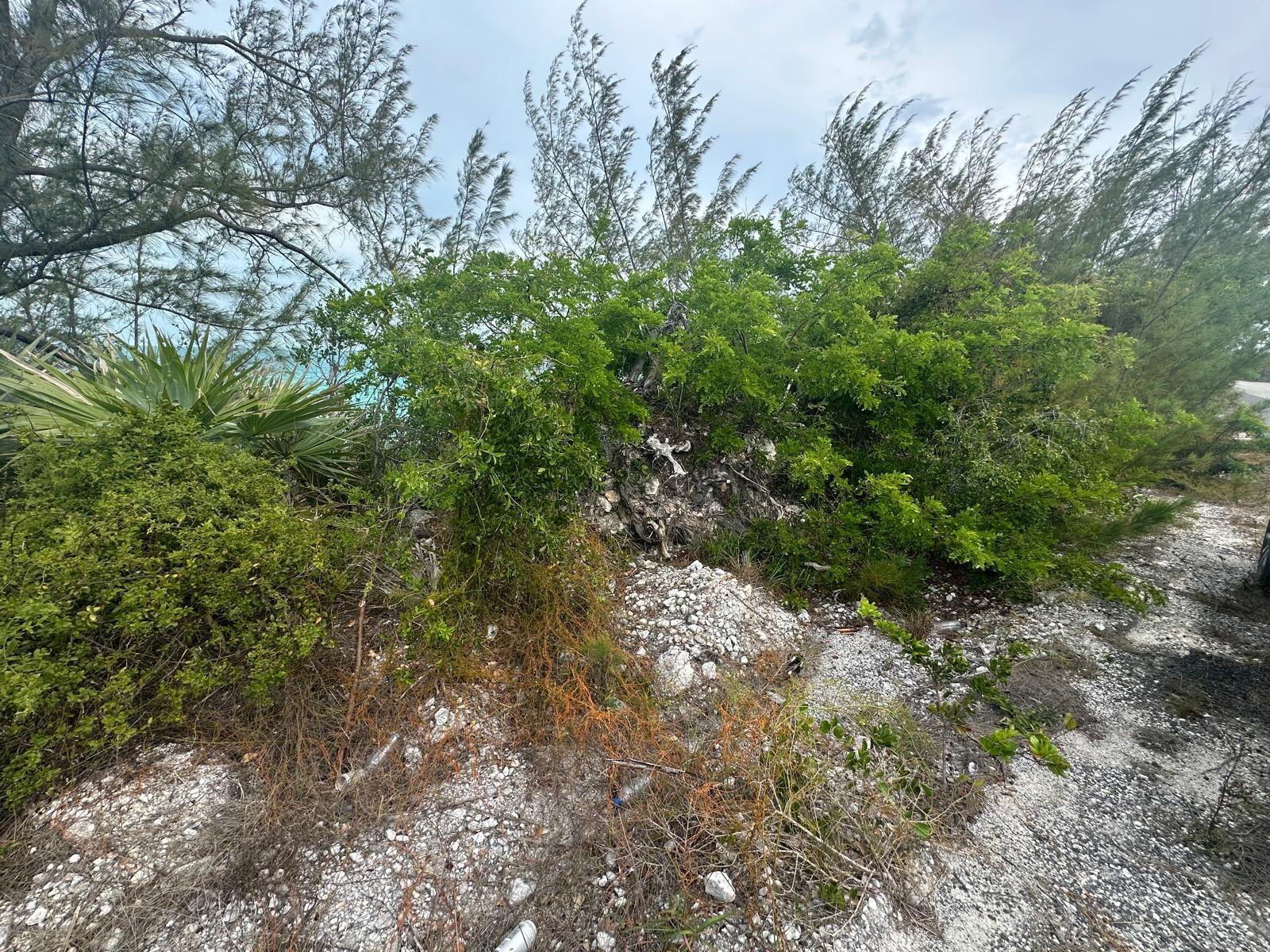 3 LIL BLUFF SAVANNAH SOUN, Eleuthera, The Bahamas — photo 5