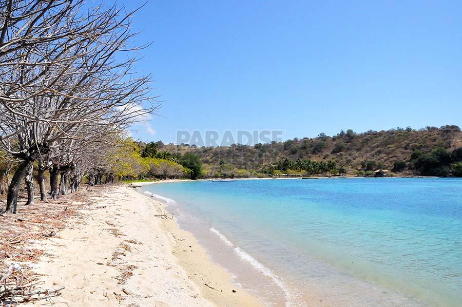 Absolute Beach Front Land to Develop Dive Resort — photo 1