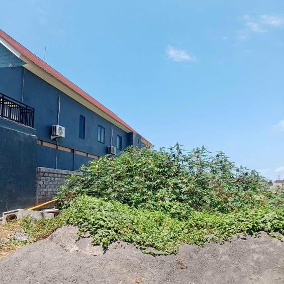 Studio house in Denpasar — photo 1