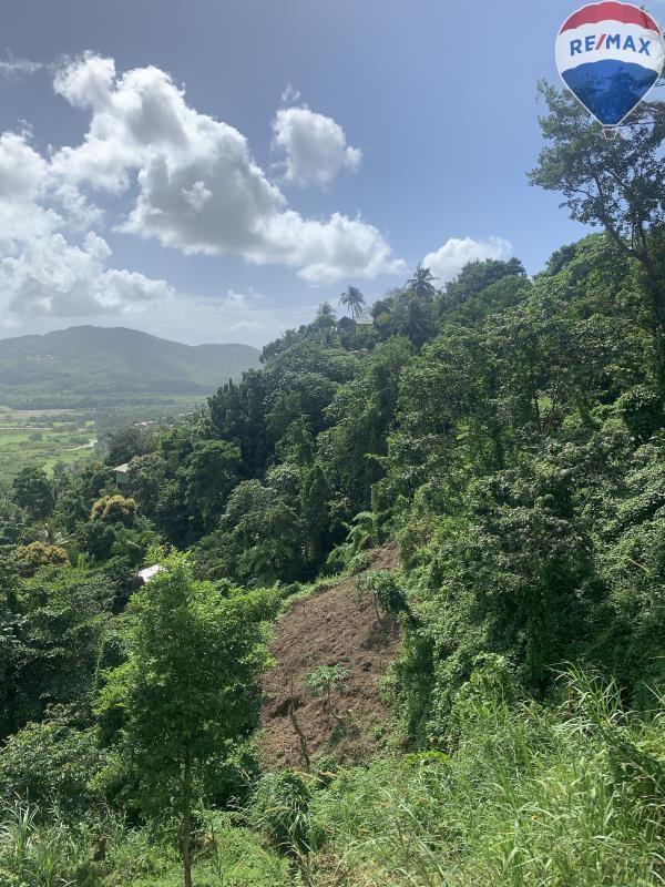 More than an acre - lot in Ciceron for Sale - Incredible value - Motivated Seller — photo 4