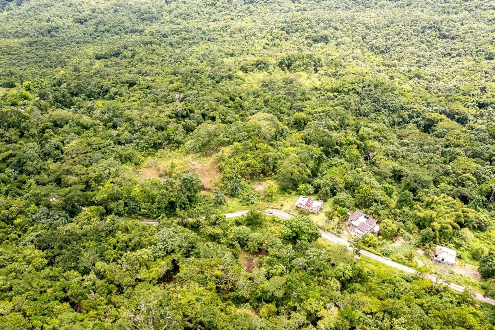 101 Acres of Land for Sale, Union Pen, Saint Mary, Jamaica — photo 5