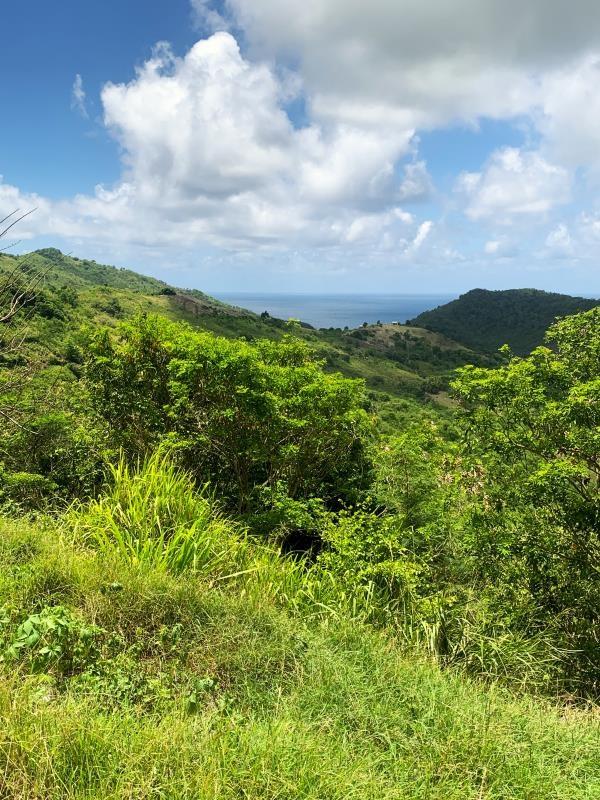 Massive Multipurpose Land For Sale - Excellent Opportunity in Gros-Islet — photo 1