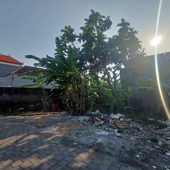 Studio house in Denpasar — photo 1