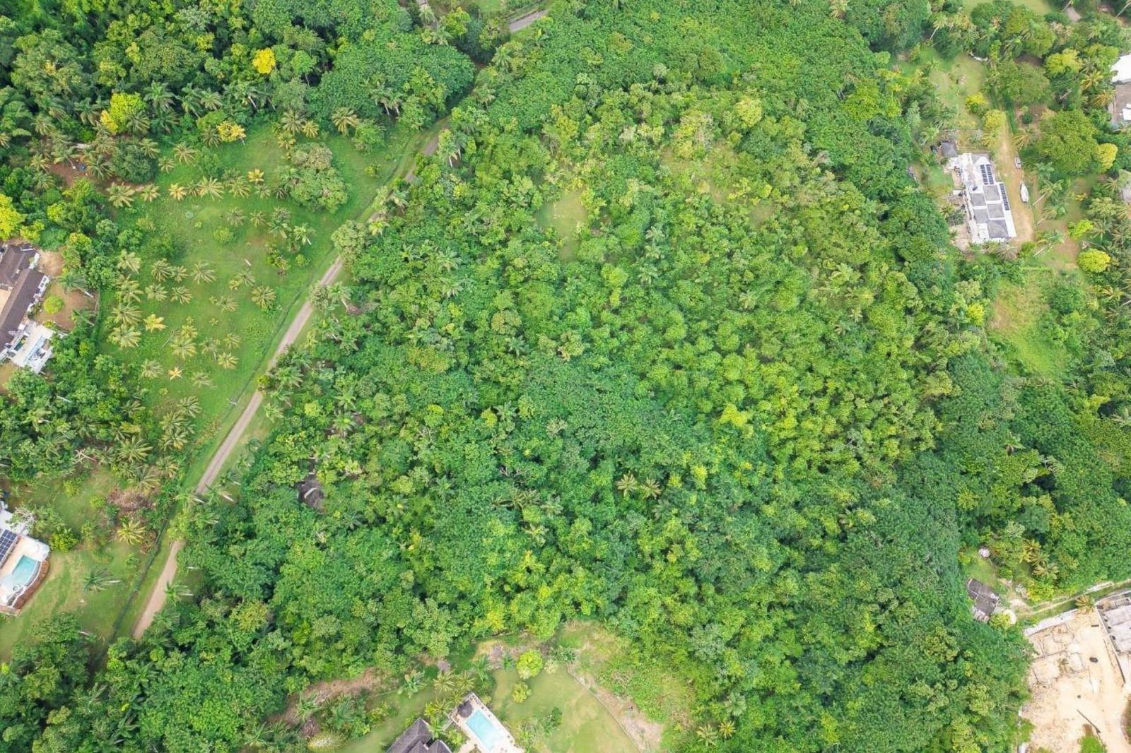 2.86 Acre Lot for Sale, Great River Estate, St James, Jamaica — photo 1
