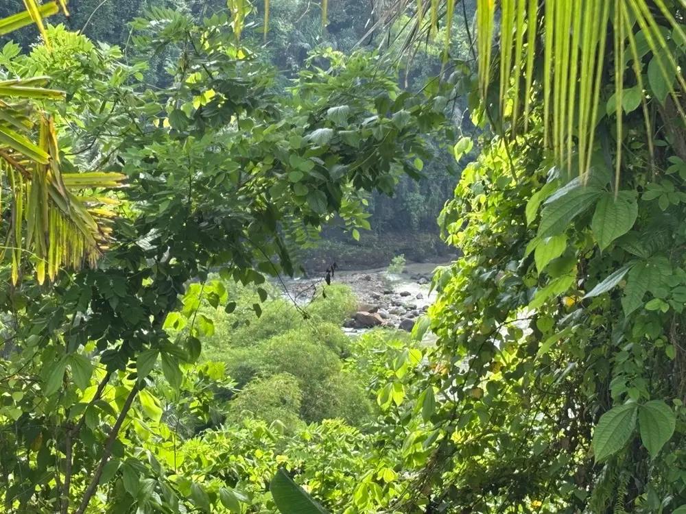 Land Riverside 13.5 Are in Tabanan – Permanent River View (Yellow Zone) — photo 2