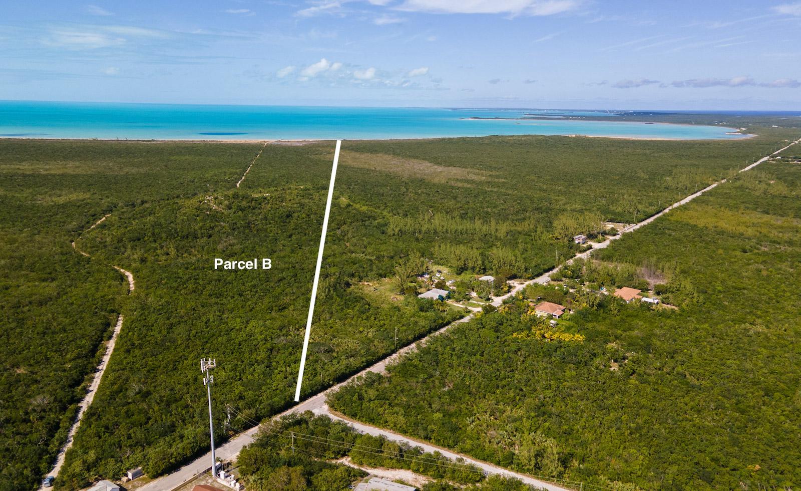 250 Acre Tract, Grays Settlement — photo 4