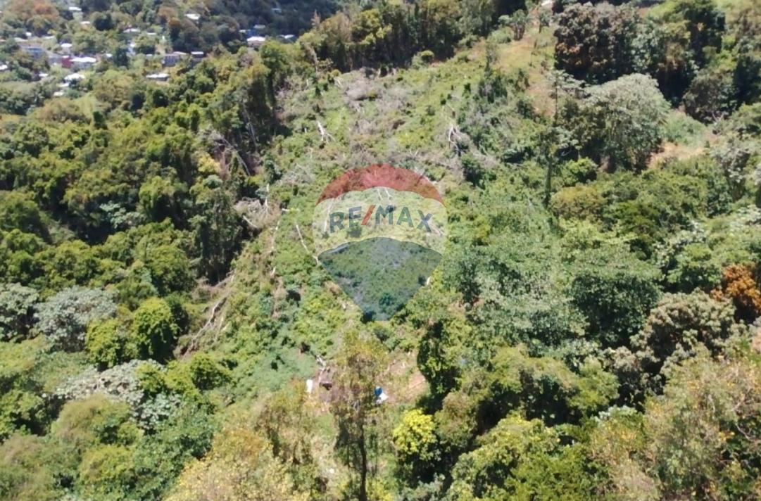 BELMONT 1-ACRE LOT — photo 2