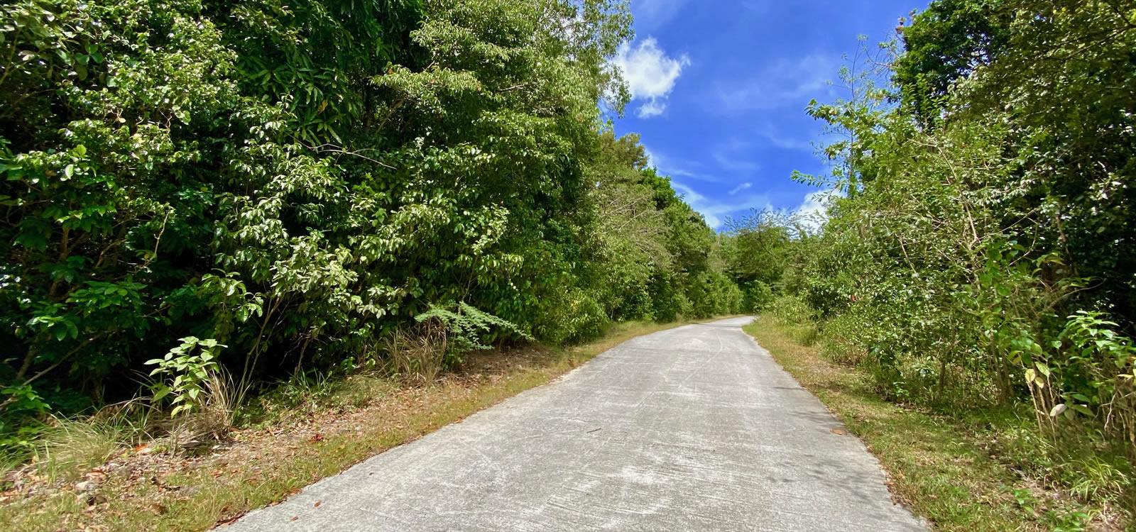 1 Acre Lot for Sale, Upper Fern Hill, Nevis — photo 5
