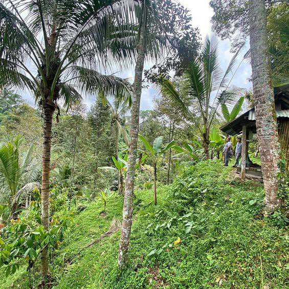 Studio house in Badung — photo 1