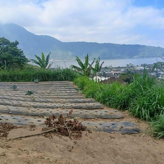 Land for sale in Baturiti, Bali, Indonesia — photo 1