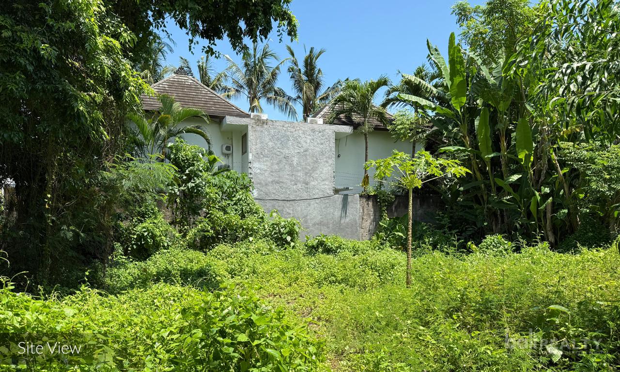Ready-to-Build 430 sqm Plot Near Tanah Lot with Lush Rice Field Surroundings — photo 3