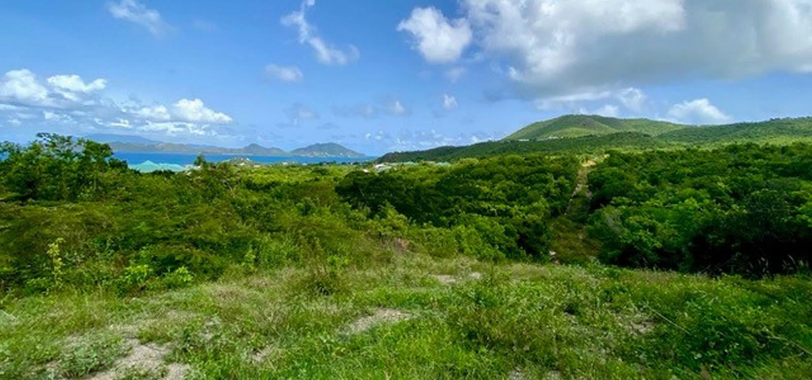 3 Acres of Land for Sale, Clifton Estate, Cades Bay, Nevis — photo 5