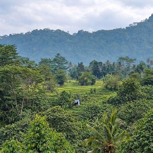 Land for sale in Sidemen, Denpasar — photo 1