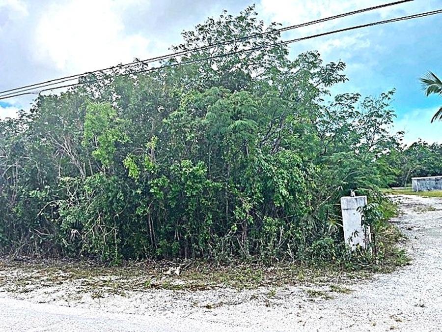 2 Acre Parcel — photo 3
