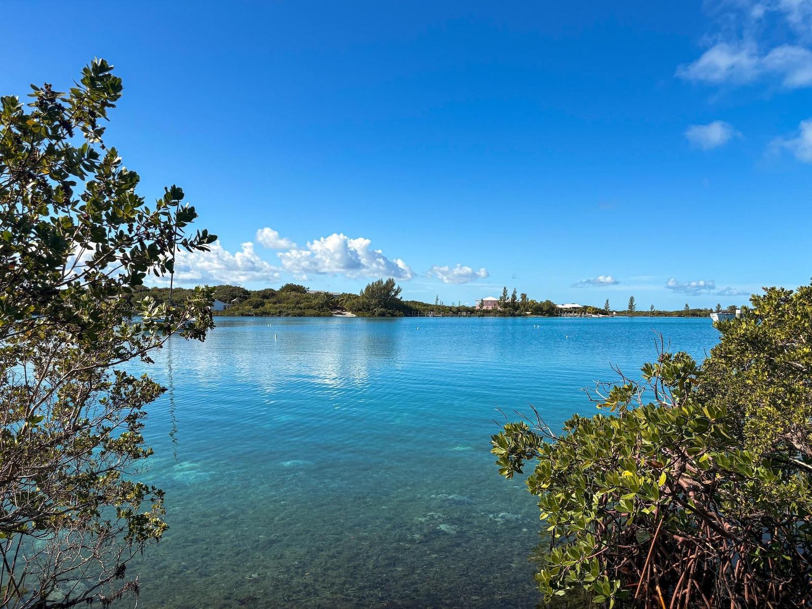 MAN O WAR CAY — photo 3
