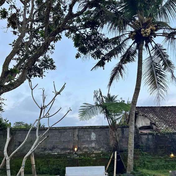 Studio property in Tampaksiring — photo 1