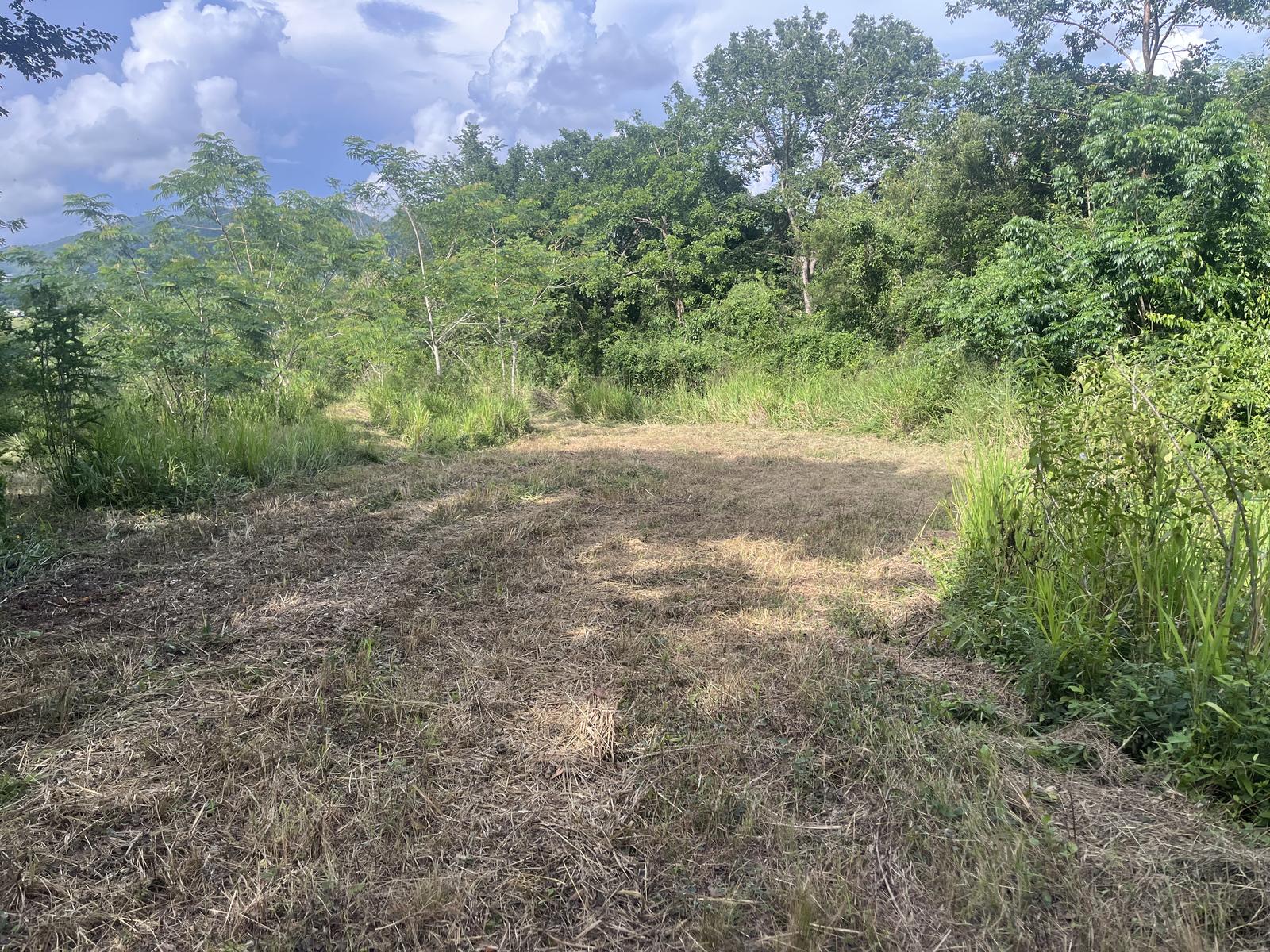 9.4 cuerdas of natural beauty in Coamo for farm or agrotourism project — photo 5