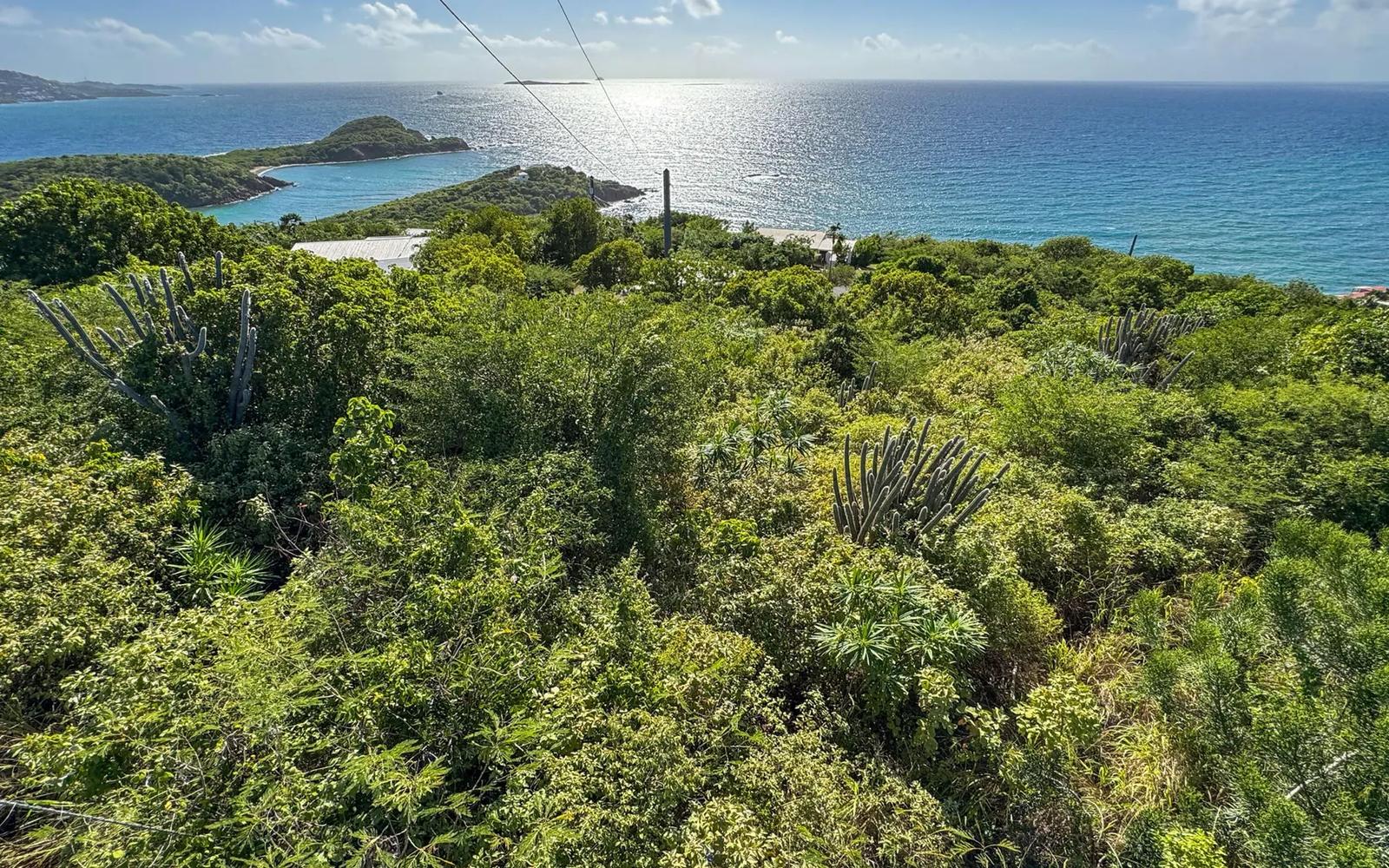 0.26 Acre Lot on Water Island — photo 5