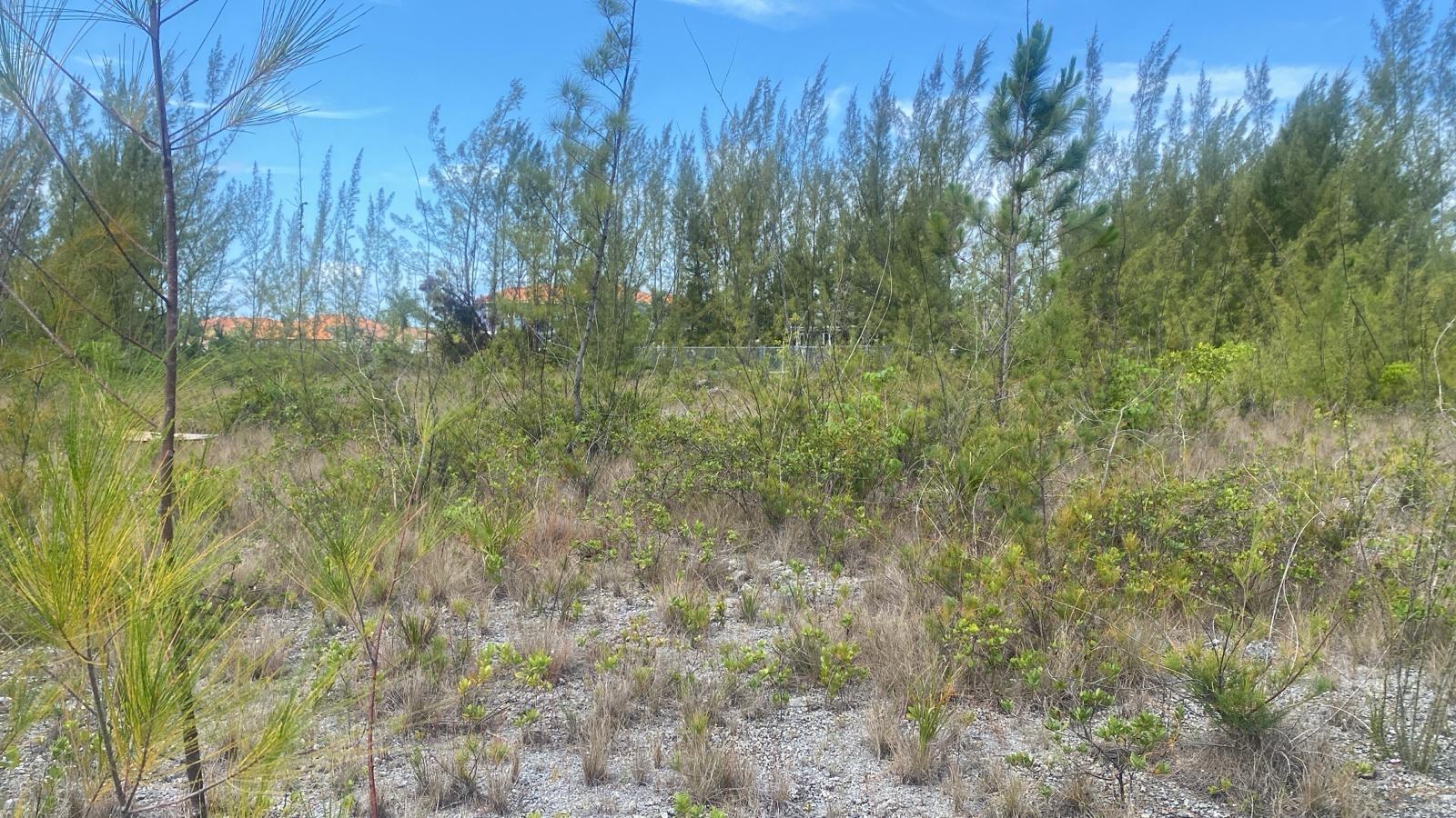 PARCEL B CORAL HARBOR — photo 1
