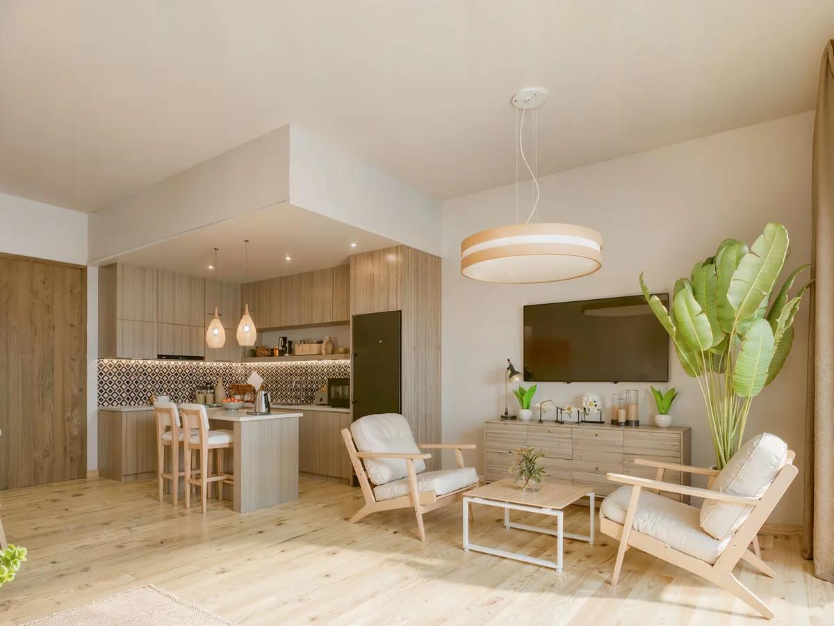 A pale open-plan studio with a kitchen bar, two low armchairs and a tall traveller's palm in the corner